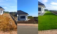 kompleksowa regeneracja trawnika