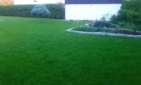 efekt końcowy po założeniu trawnika